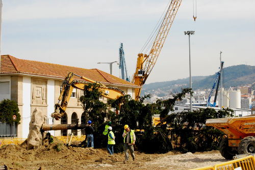 Los obreros arrancan con cuidado uno de los árboles de los jardines de O Areal