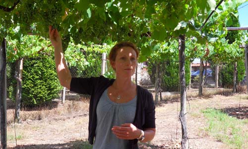 La enóloga Josephine Perry con sus "hijos", las uvas que dan el Nora da Neve.