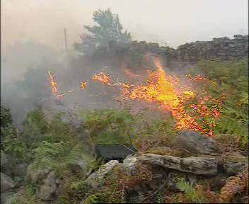 incendios-forestales