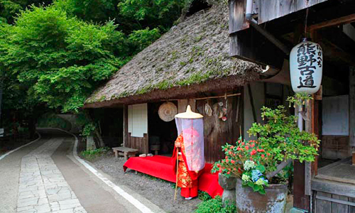 El Camino de Kumano Kodo.