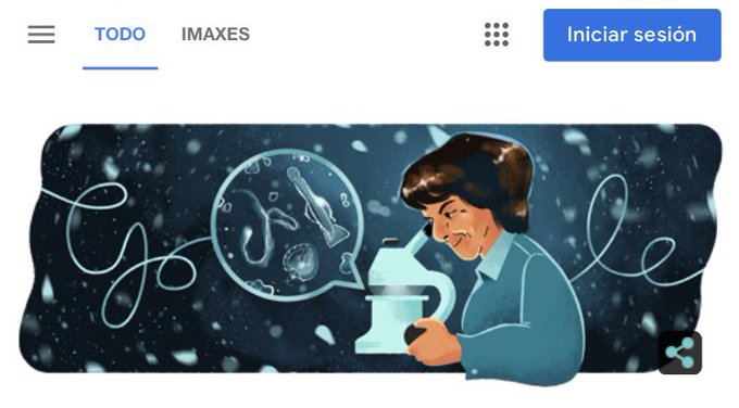 O 'doodle' de Google para Ángeles Alvariño, a galega precursora da investigación oceanográfica no mundo