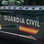 Herida al atropellar un caballo, en Gondomar