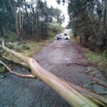 Preto de 180 incidencias, este domingo, polo paso da Borrasca Herminia