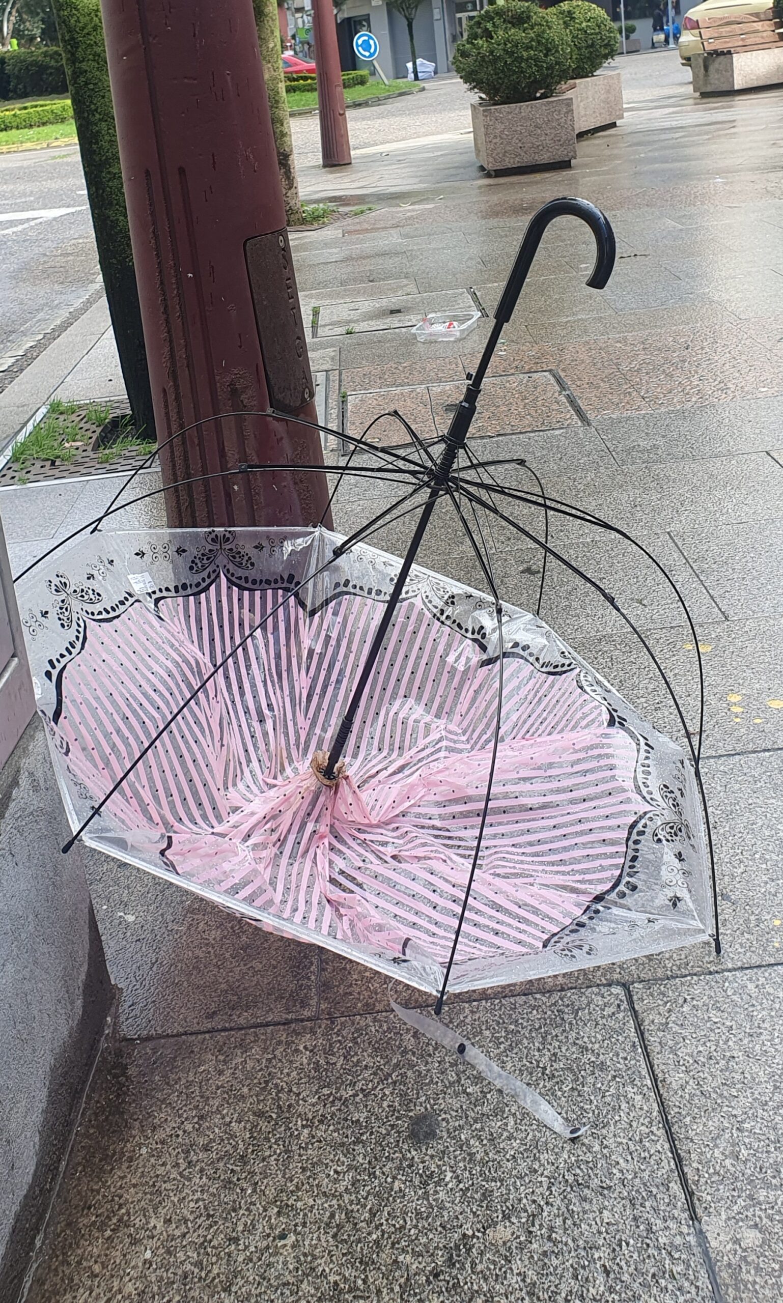 Lluvia en Vigo lo que queda de semana