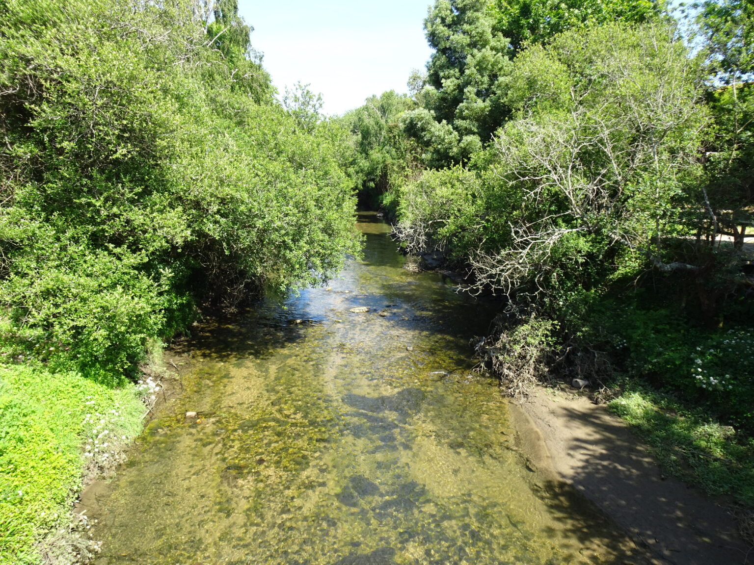 Exigen al Concello que paralice de inmediato las obras del paseo del Lagares