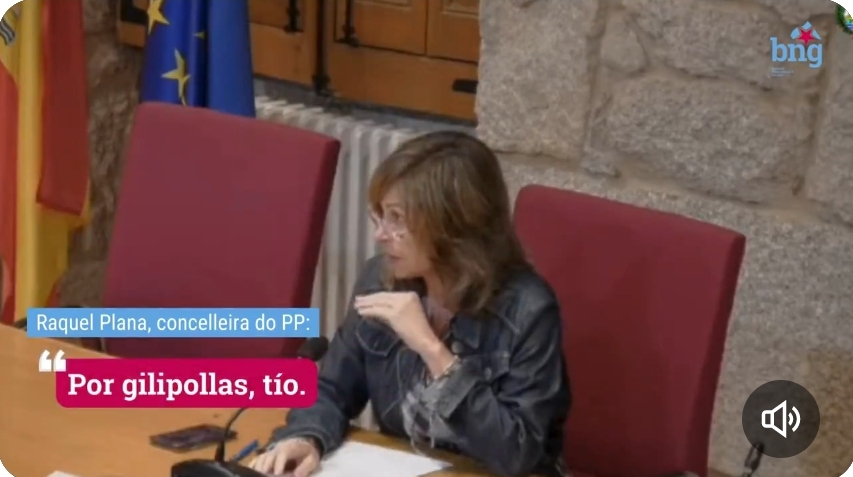 Pleno vergonzoso en Ponteareas: una concejala del Gobierno llama 'gilipollas" a un miembro de la oposición
