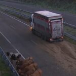 El vuelco de un camión con vacas obliga a cortar la autovía A-8